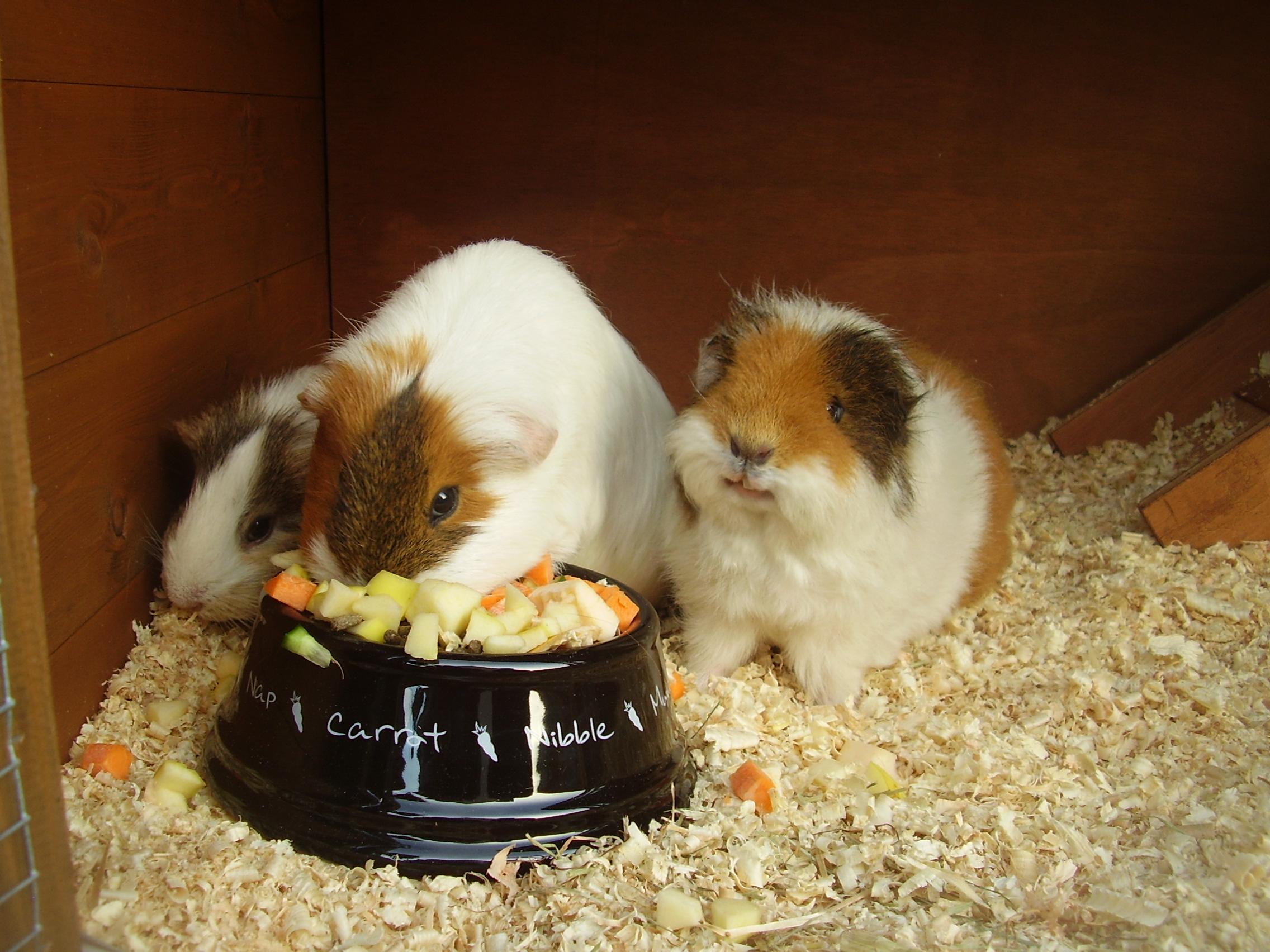3eating.JPG